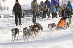 Lenk 2012 SM